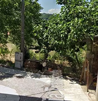 Foto annuncio 6
