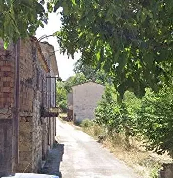 Foto annuncio 8