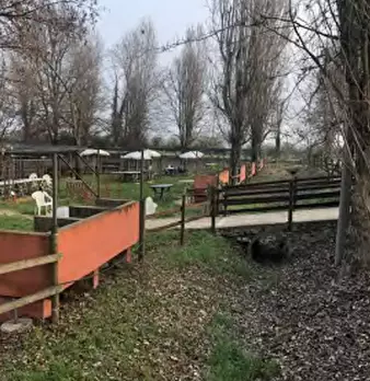 Foto annuncio 2