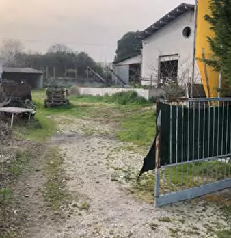 Foto annuncio 13