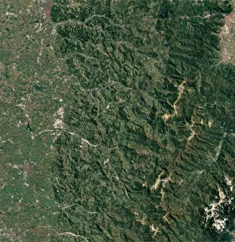 Foto annuncio 22
