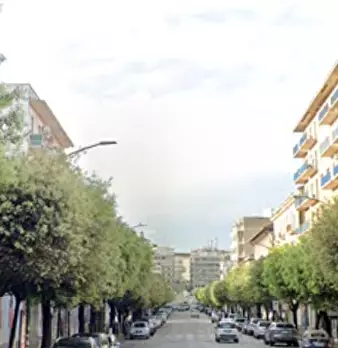 Foto annuncio 10