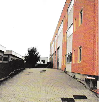 Foto annuncio 7