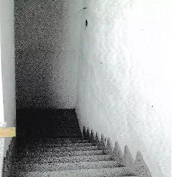 Foto annuncio 11