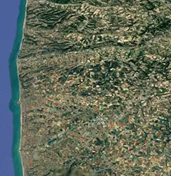Foto annuncio 18