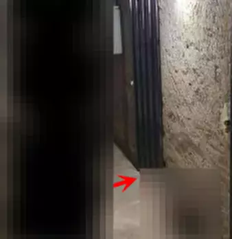 Foto annuncio 3