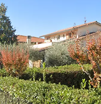 Foto annuncio 4