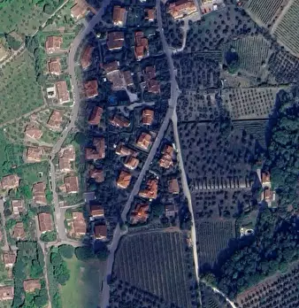 Foto annuncio 20