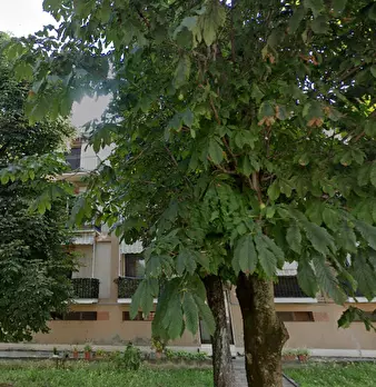 Foto annuncio 9