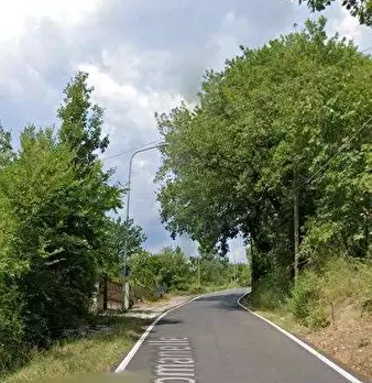 Foto annuncio 6