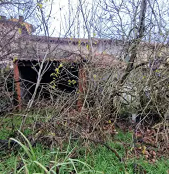 Foto annuncio 4