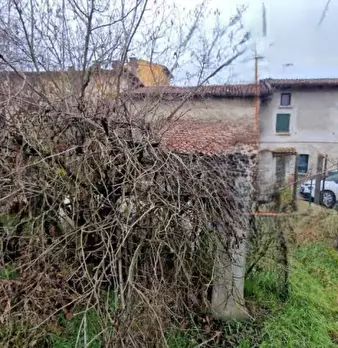 Foto annuncio 5