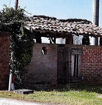 Foto annuncio 17