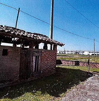 Foto annuncio 18