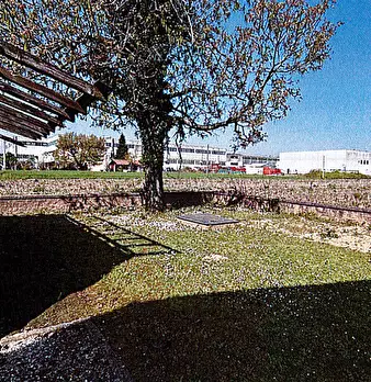 Foto annuncio 19