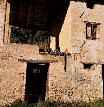 Foto annuncio 2