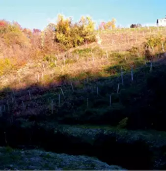 Foto annuncio 9