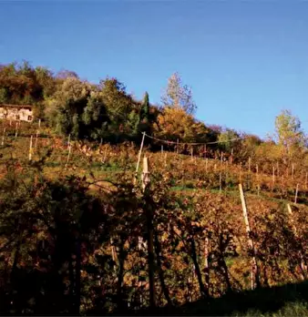 Foto annuncio 16