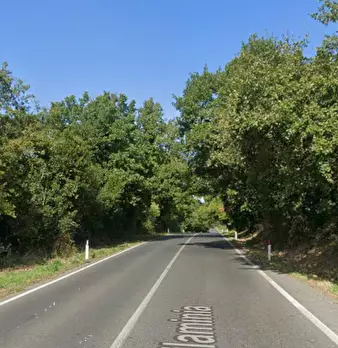 Foto annuncio 8