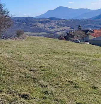 Foto annuncio 6