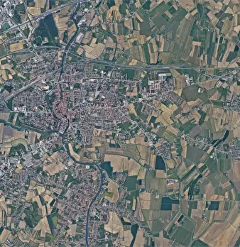 Foto annuncio 19