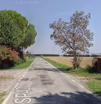 Foto annuncio 7