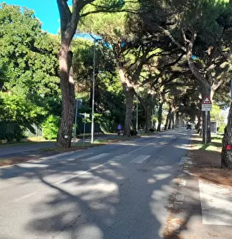 Foto annuncio 7