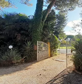Foto annuncio 9