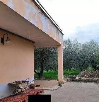 Foto annuncio 7