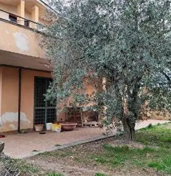 Foto annuncio 10