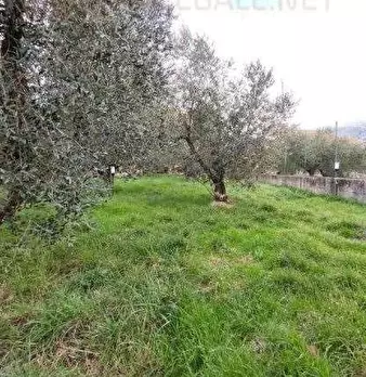 Foto annuncio 12