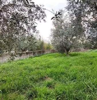 Foto annuncio 13