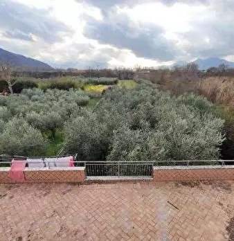 Foto annuncio 16