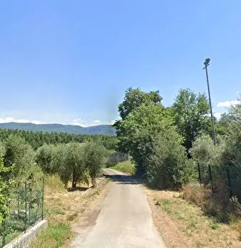 Foto annuncio 4