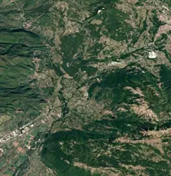 Foto annuncio 9