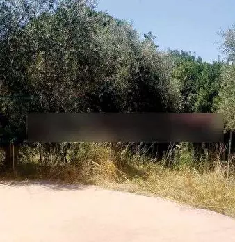 Foto annuncio 12