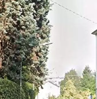 Foto annuncio 10