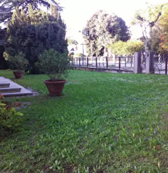 Foto annuncio 10