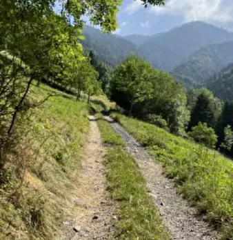 Foto annuncio 5