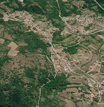 Foto annuncio 7