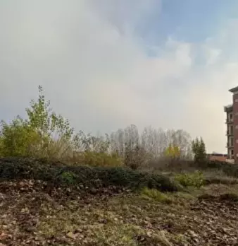 Foto annuncio 1