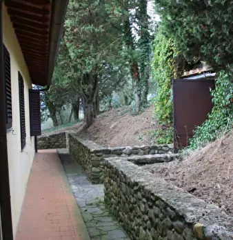 Foto annuncio 8