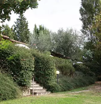 Foto annuncio 11