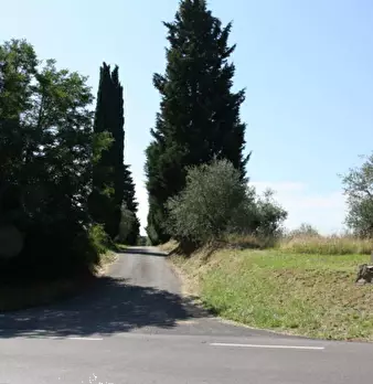 Foto annuncio 12