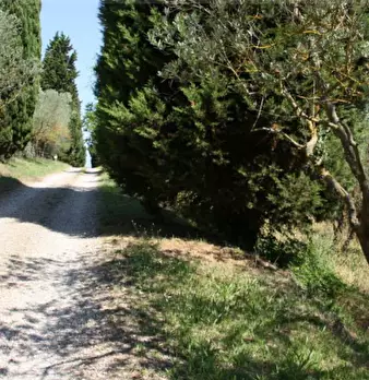 Foto annuncio 13