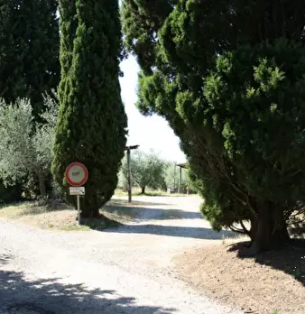 Foto annuncio 14