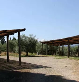 Foto annuncio 15