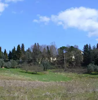 Foto annuncio 24