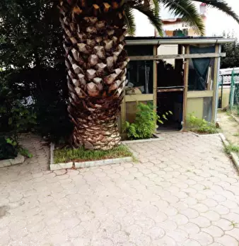 Foto annuncio 6