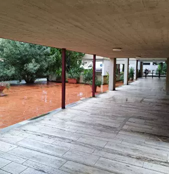 Foto annuncio 7